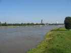 thumbs/dd_20070811_0077.jpg