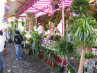 thumbs/Deusseldorf_20080719_093.png