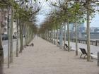 thumbs/Deusseldorf_20091212_058.jpg