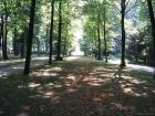 thumbs/2010_08_14_Deusseldorf_016.jpg