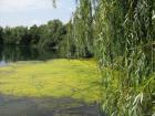thumbs/2010_08_14_Deusseldorf_269.jpg