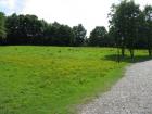 thumbs/2010_08_14_Deusseldorf_290.jpg