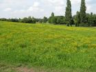 thumbs/2010_08_14_Deusseldorf_291.jpg
