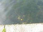 thumbs/Deusseldorf_20110910_076.jpg.jpg