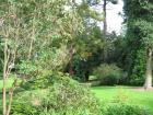 thumbs/Deusseldorf_20110910_140.jpg.jpg
