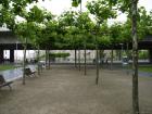 thumbs/20140628T132626_Deusseldorf.jpg.jpg