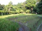 thumbs/Japan_2006_0077.jpg