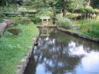 thumbs/Japan_2006_0080.jpg