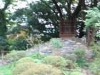 thumbs/Japan_2006_0099.jpg