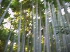 thumbs/Japan_2006_0089.jpg
