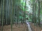 thumbs/Japan_2006_0090.jpg