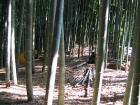 thumbs/Japan_2006_0093.jpg