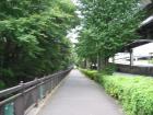 thumbs/Japan_2006_0041.jpg