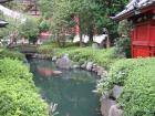 thumbs/Japan_2006_0036.jpg