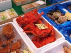 thumbs/Japan_2006_0028.jpg
