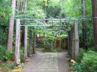 thumbs/Japan_2006_0037.jpg