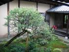 thumbs/Japan_2006_0056.jpg