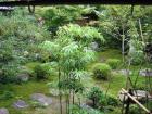 thumbs/Japan_2006_0059.jpg