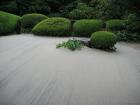 thumbs/Japan_2006_0069.jpg