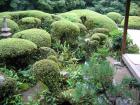thumbs/Japan_2006_0071.jpg