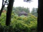 thumbs/Japan_2006_0103.jpg