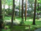 thumbs/Japan_2006_0065.jpg