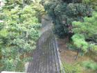 thumbs/Japan_2006_0137.jpg