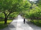 thumbs/Japan_2006_0017.jpg