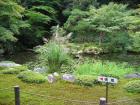 thumbs/Japan_2006_0054.jpg
