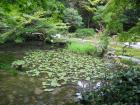 thumbs/Japan_2006_0056.jpg