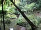 thumbs/Japan_2006_0058.jpg