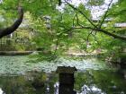 thumbs/Japan_2006_0087.jpg