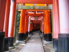 thumbs/Japan_2006_0107.jpg