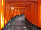 thumbs/Japan_2006_0109.jpg