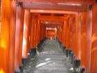thumbs/Japan_2006_0113.jpg
