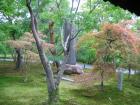 thumbs/Japan_2006_0153.jpg