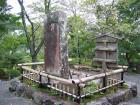 thumbs/Japan_2006_0014.jpg