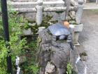 thumbs/Japan_2006_0081.jpg