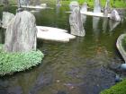 thumbs/Japan_2006_0096.jpg