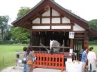 thumbs/Japan_2006_0005.jpg