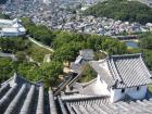 thumbs/Japan_2006_0069.jpg