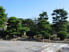 thumbs/Japan_2006_0106.jpg