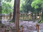 thumbs/Japan_2006_0134.jpg
