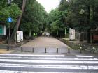 thumbs/Japan_2006_0170.jpg