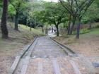 thumbs/Japan_2006_0175.jpg