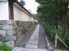 thumbs/Japan_2006_0073.jpg