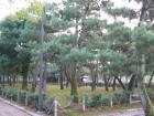 thumbs/Japan_2006_0078.jpg