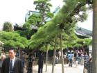 thumbs/Japan_20090923_00634.jpg