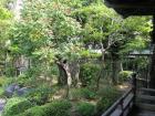 thumbs/Japan_20090923_00664.jpg
