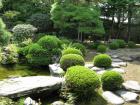 thumbs/Japan_20090923_00748.jpg